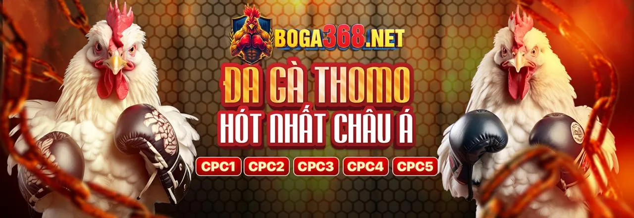 Các công cụ hỗ trợ cờ bạc có trách nhiệm