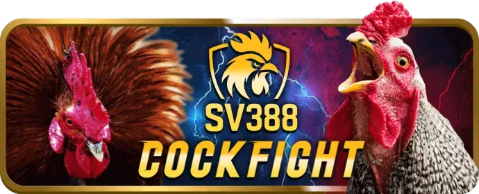 Cookie hiệu suất để phân tích và tối ưu hóa goo888